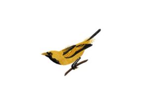 Golden Haired Flycatcher: A Charming Embroidery Design